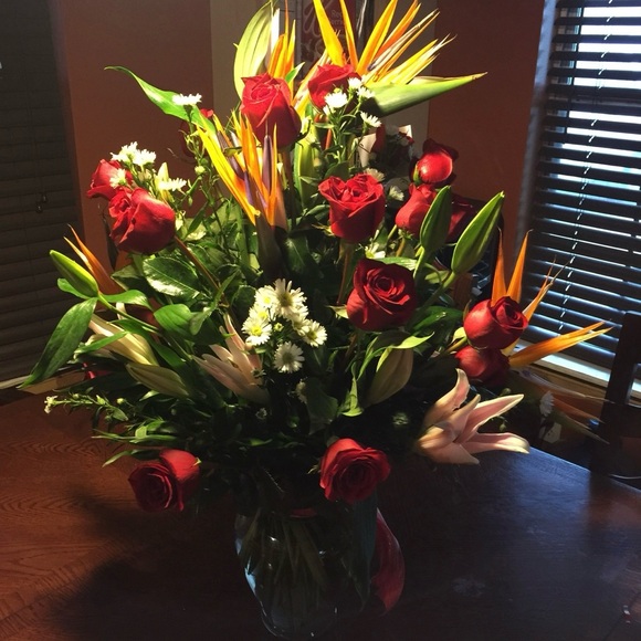 Meet your Posher, Nora - Picture 1 of 1